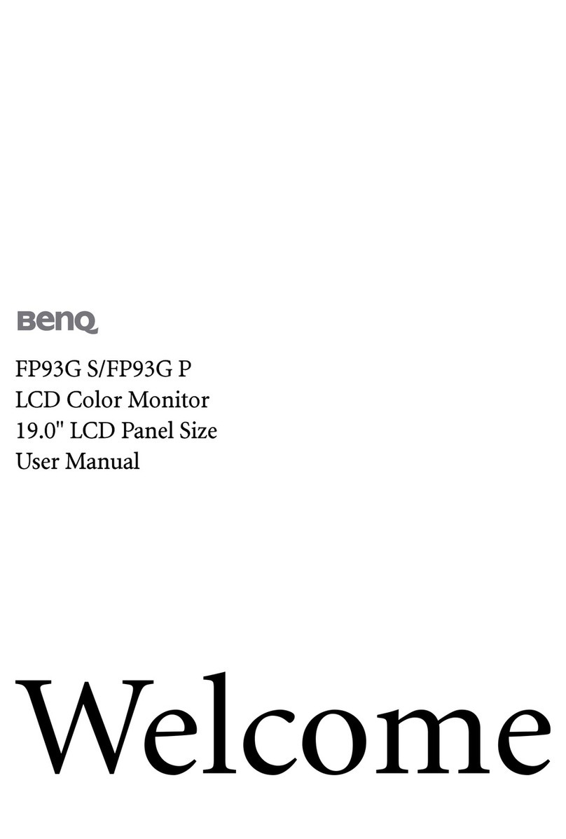 BenQ FP93G S User manual