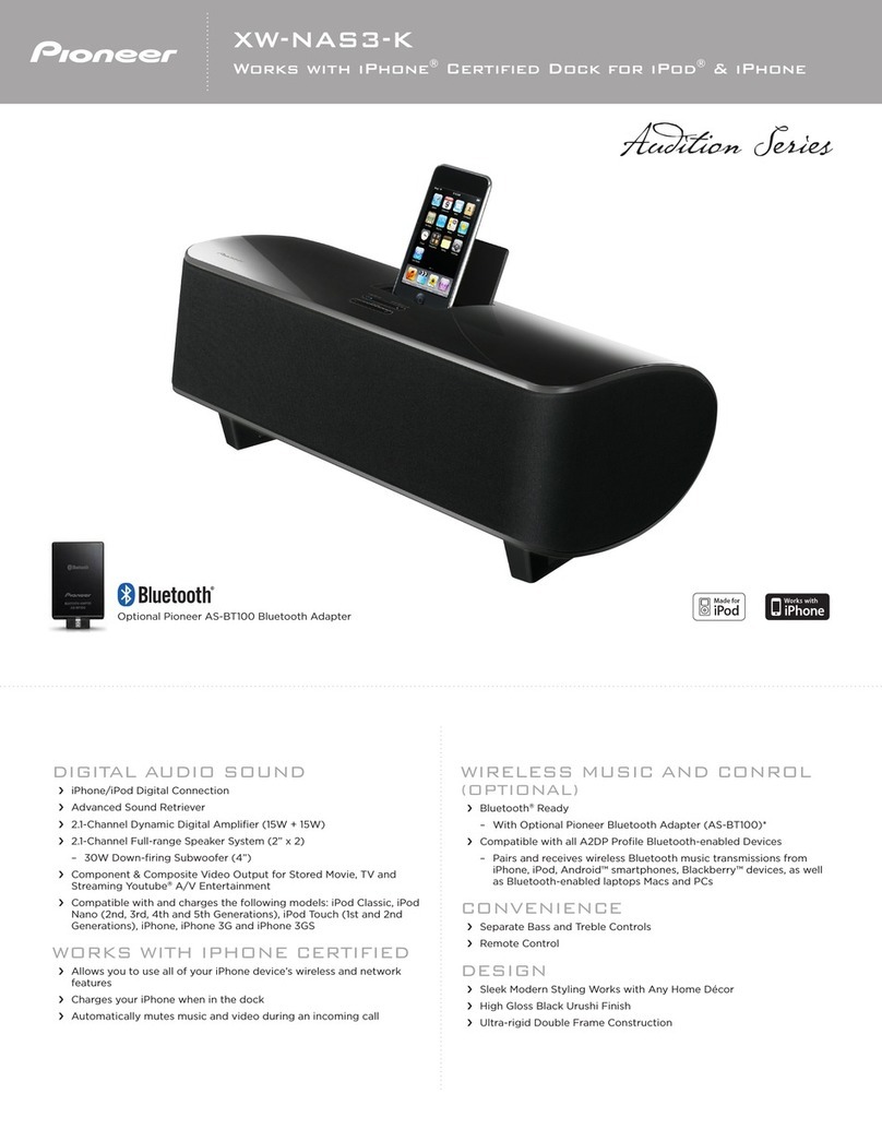 Pioneer XW-NAS3 brochure