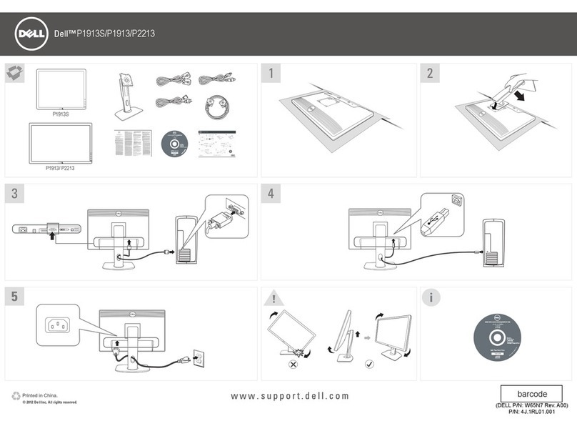 Dell P1913 User manual