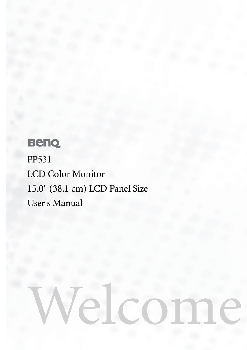BenQ fp531 User manual