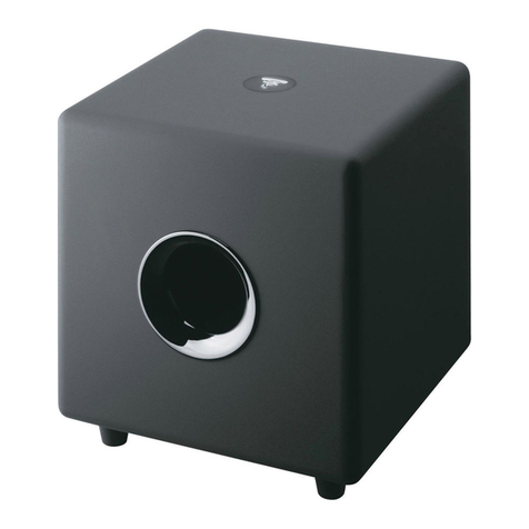 Focal CUB2 User manual