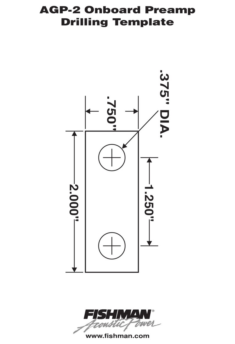 Fishman AGP-2 User manual