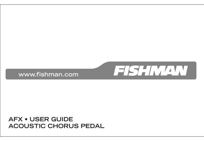 Fishman AFX CHORUS manual
