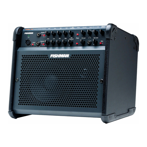 Fishman Loudbox 100 user guide
