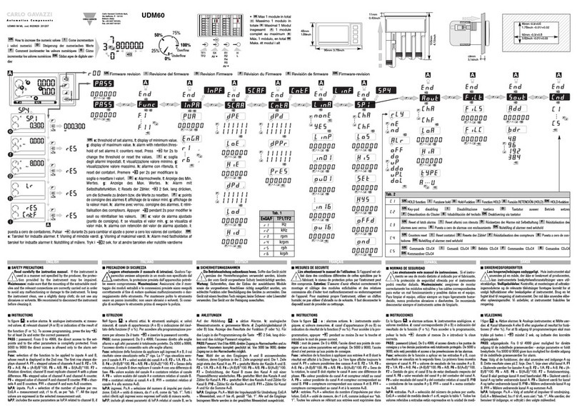 CARLO GAVAZZI UDM 60 - PROGRAMMING User manual