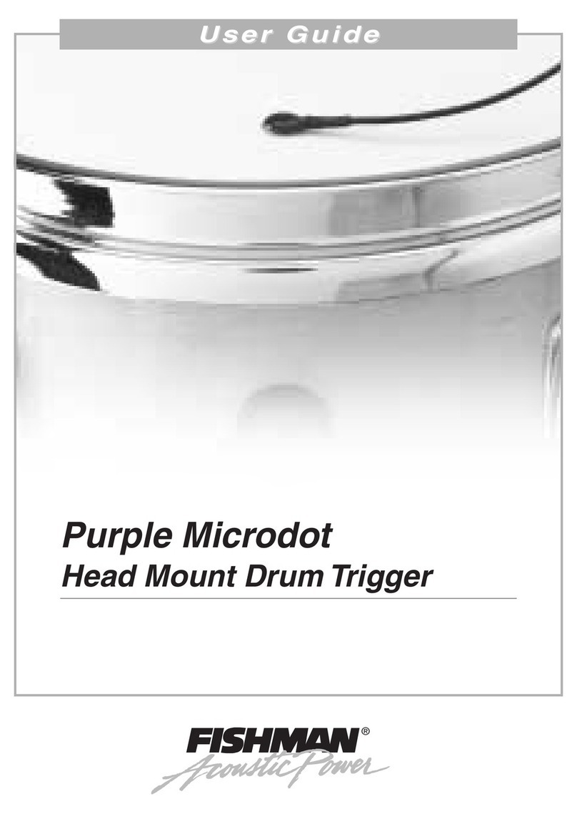 Fishman PURPLE MICRODOT manual