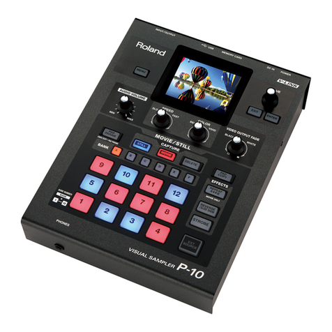 Edirol P-10 User manual