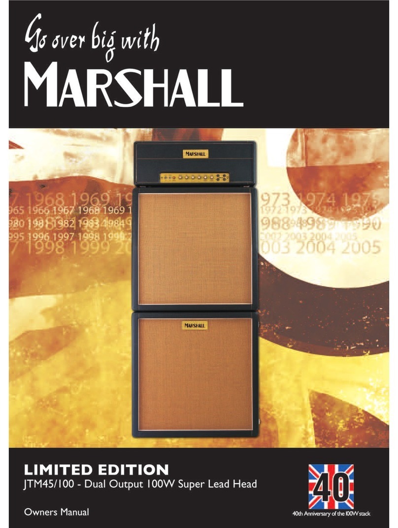 Marshall Amplification AMPLIFIER LIMITED EDITION JTM45 100 DUAL OUTPUT 100W SUPER LEAD... User manual
