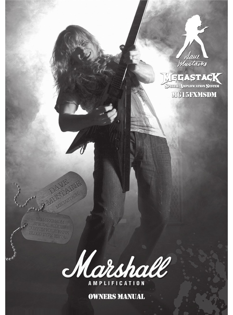 Marshall Amplification MEGASTACK MG15FXMSDM User manual