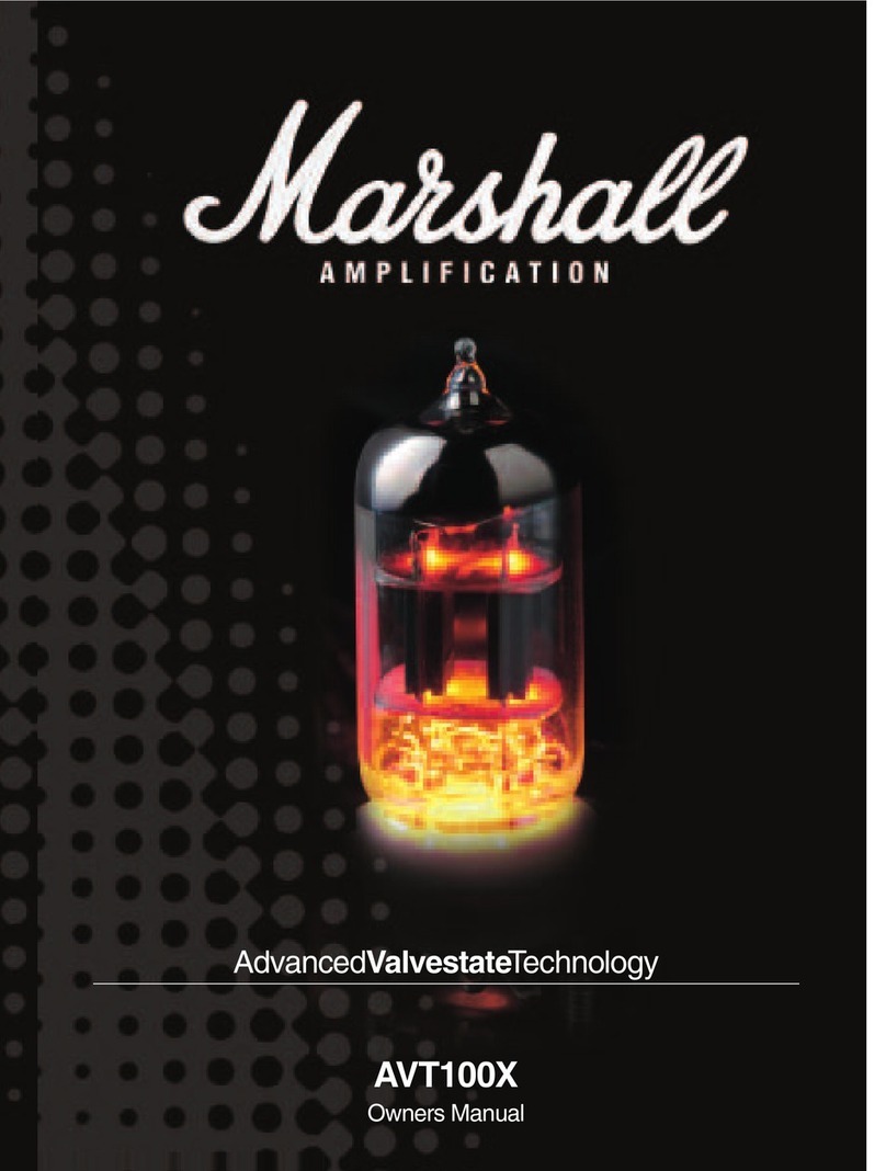 Marshall Amplification VALVETEST AVT100X User manual