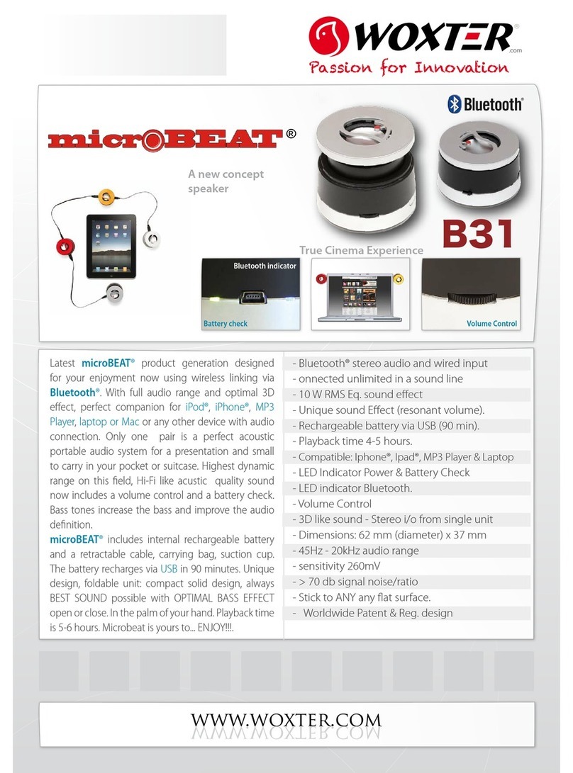 WOXTER MICROBEAT B31 datasheet