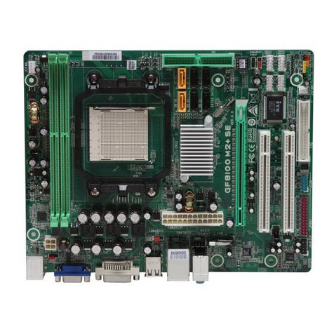 Biostar GF8100 M2+ TE Setup manual