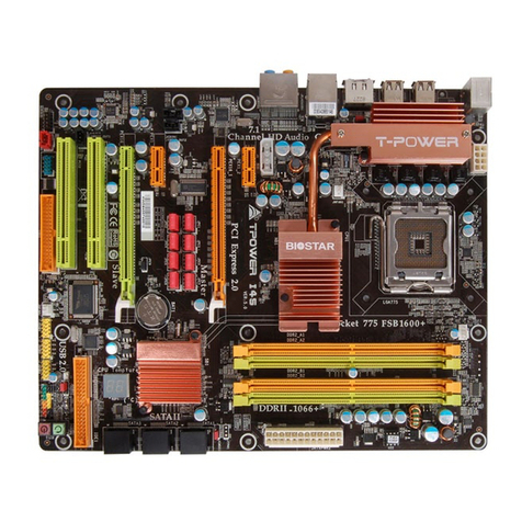 Biostar TPower I45 Setup manual