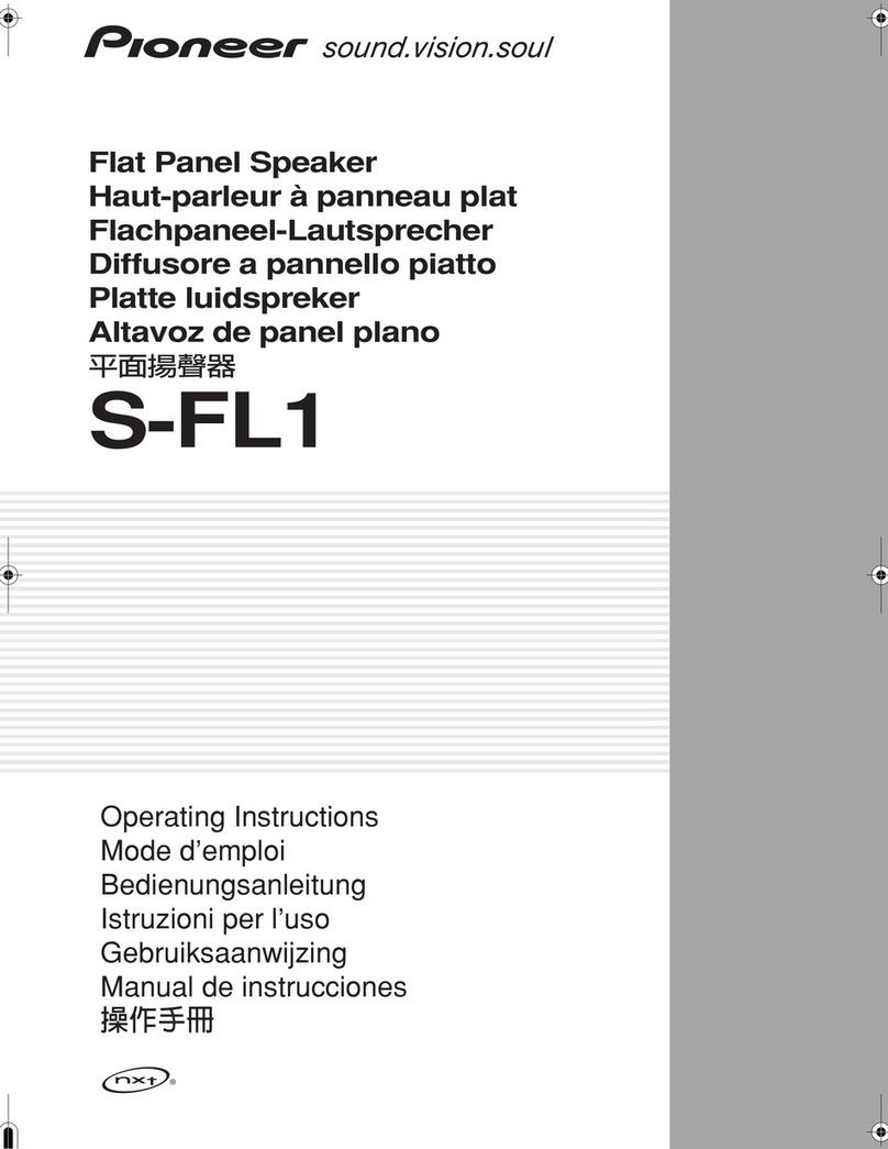 Pioneer S-FL1 - Flat Speaker User manual