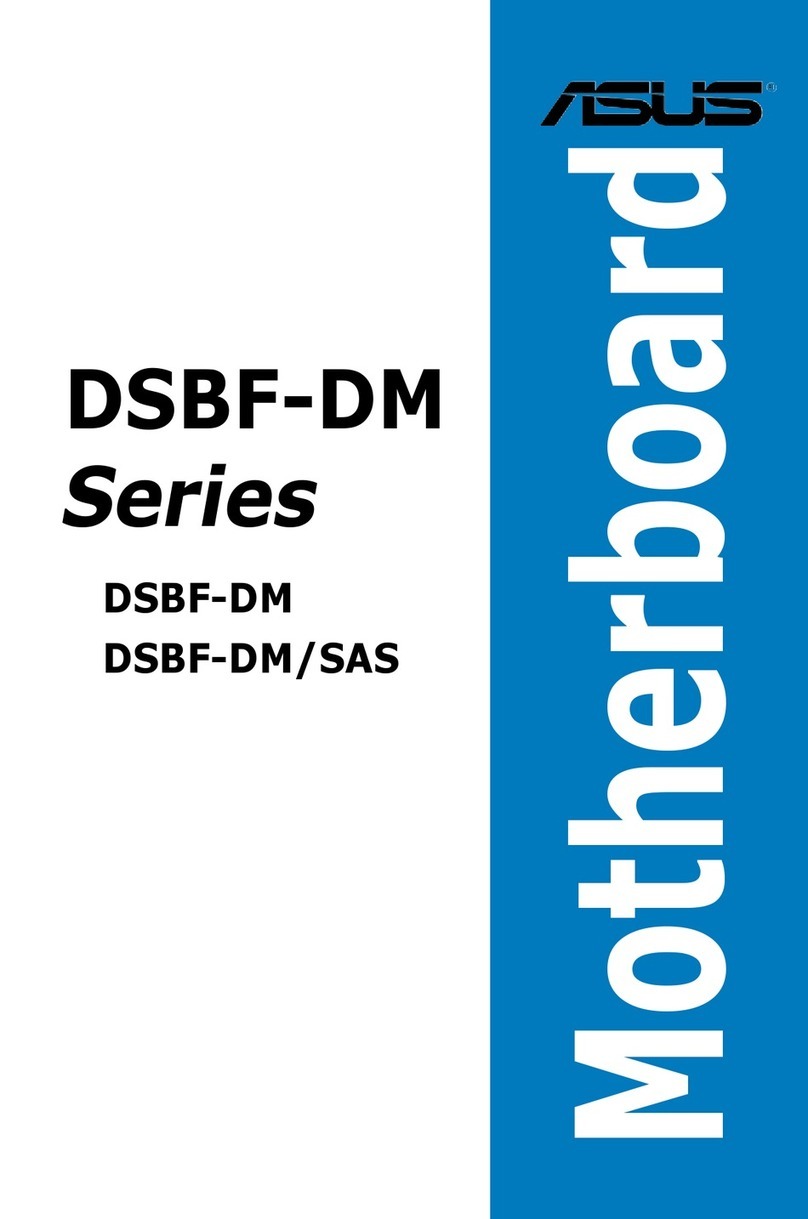 Asus DSBF-DM SAS user manual