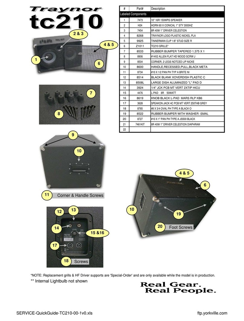 Traynor TC210 User manual