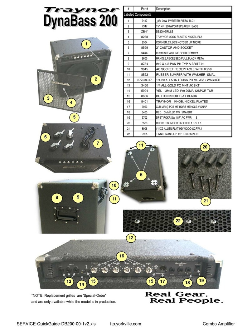 Traynor DYNABASS 200 - User manual