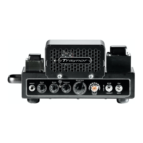 Traynor DarkHorse DH15H owner's manual
