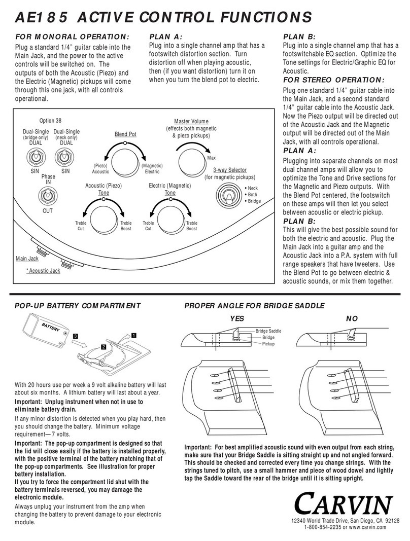 CARVIN AE185 Function guide
