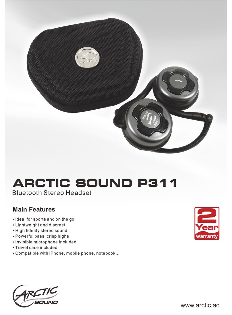 Arctic Sound P311 datasheet