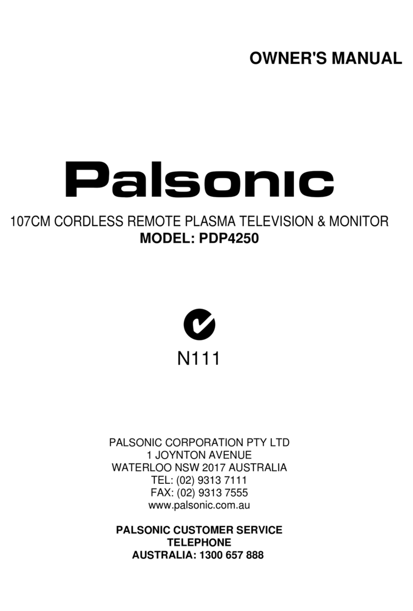 Palsonic PDP4250 1 User manual Palsonic PDP4250 1 User manual