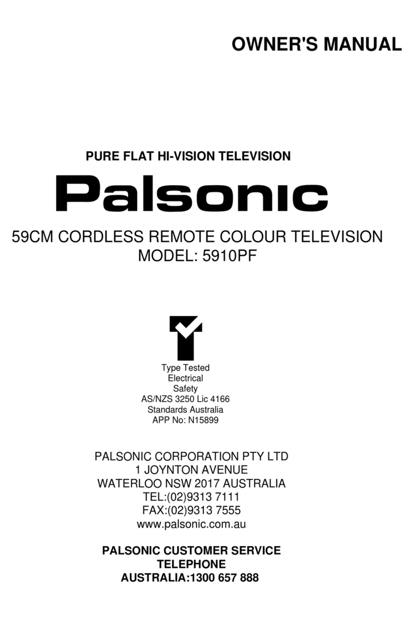 Palsonic MODEL 5910PF User manual