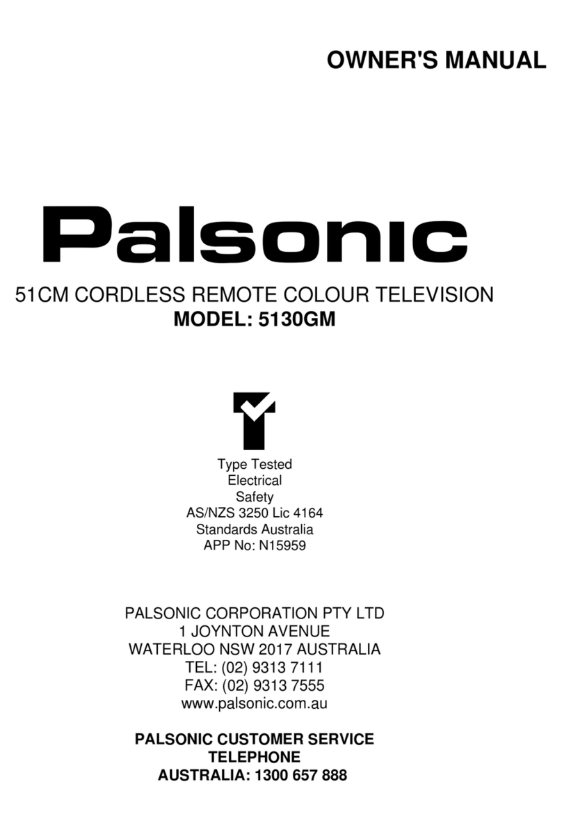 Palsonic MODEL 5130GM User manual