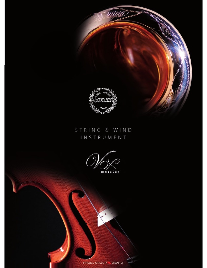PROEL STRING AND WIND INSTRUMENT - User manual