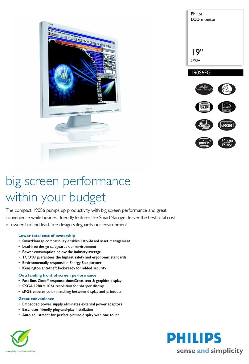 Philips 190S6FG User manual