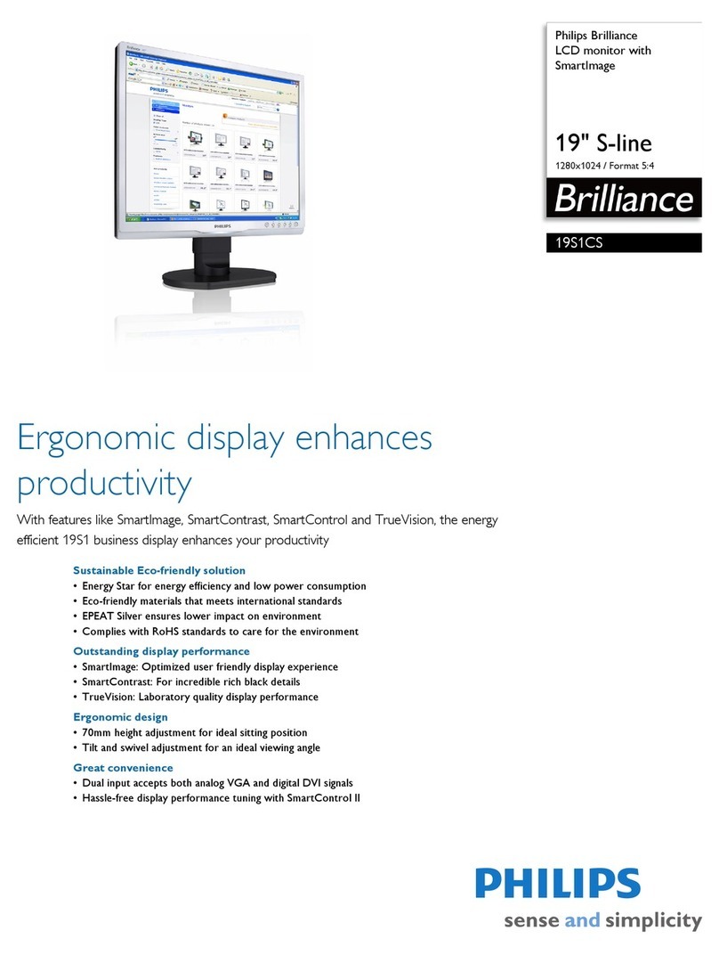 Philips Brilliance 19S1CS User manual