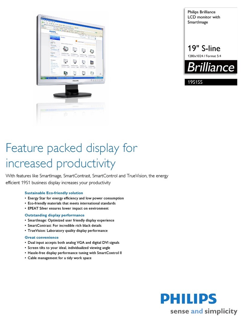 Philips Brilliance 19S1SS User manual