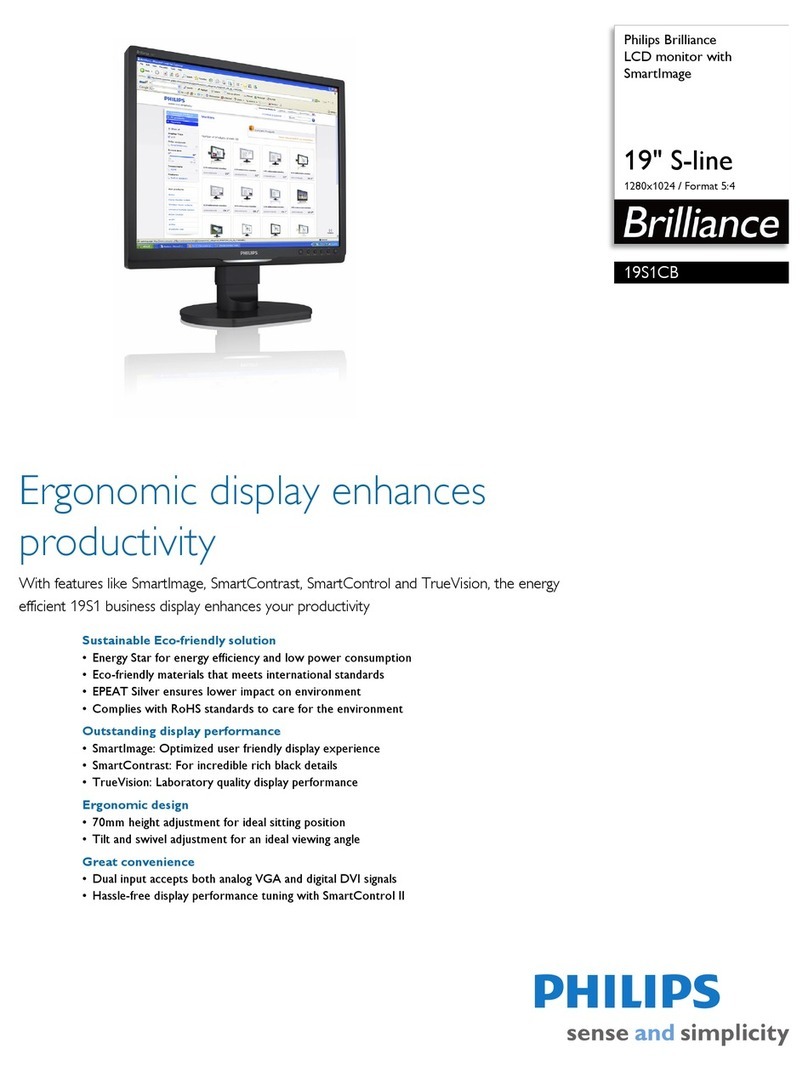 Philips Brilliance 19S1CB User manual