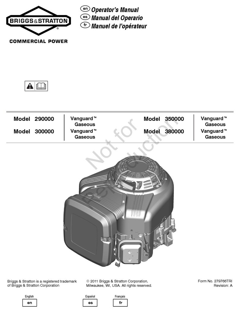 Briggs & Stratton 290000 A Operator's manual