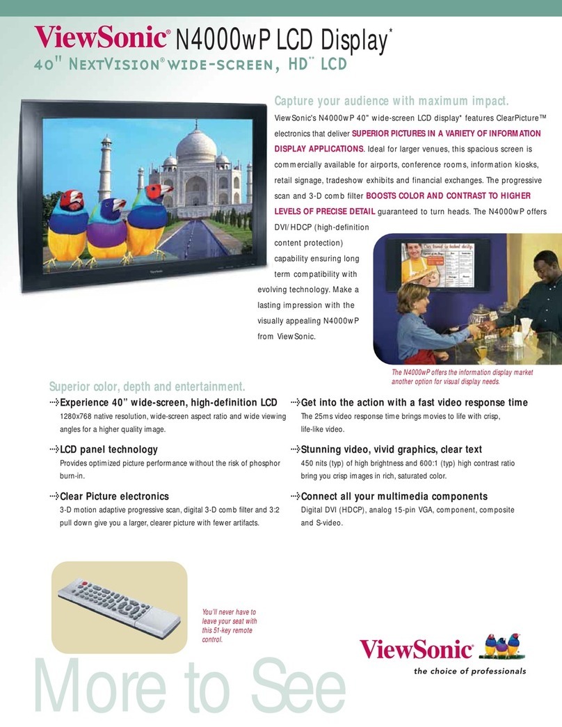 ViewSonic NextVision N4000WP User manual