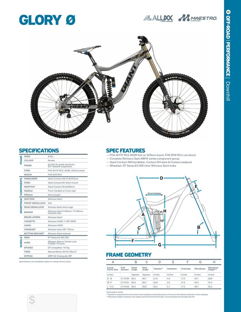 Giant GLORY 0 - DATASHEET 2 User manual