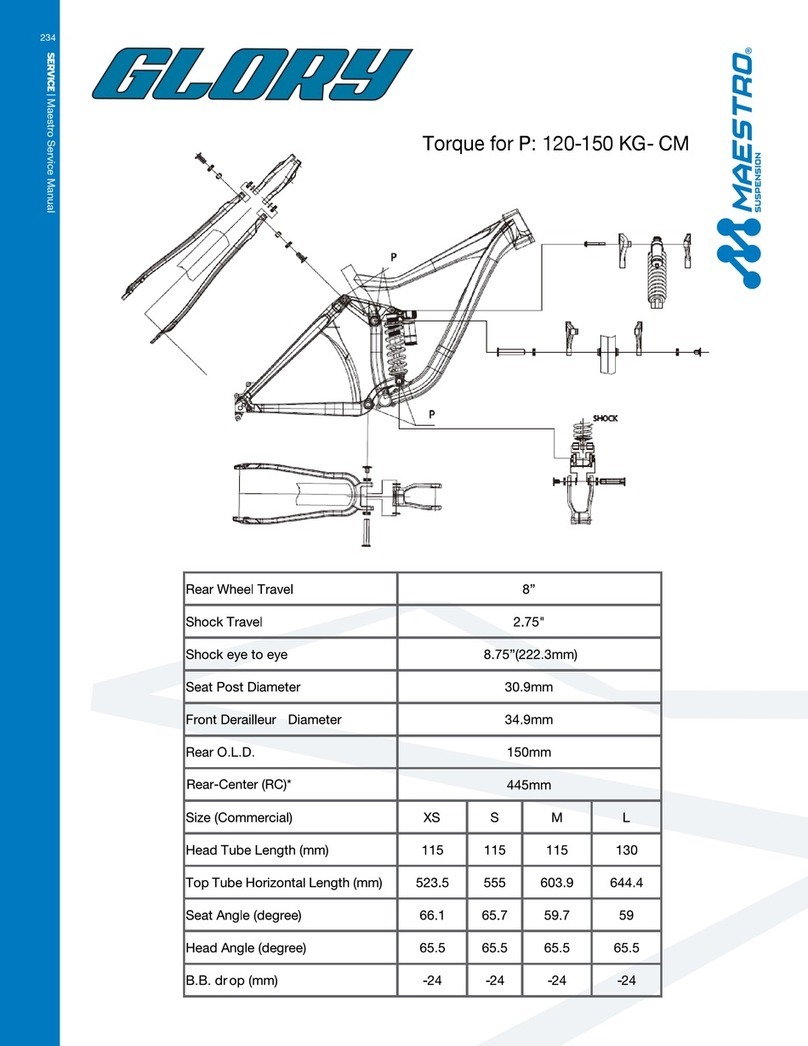 Giant GLORY - SERVICE  V2.0 Technical manual