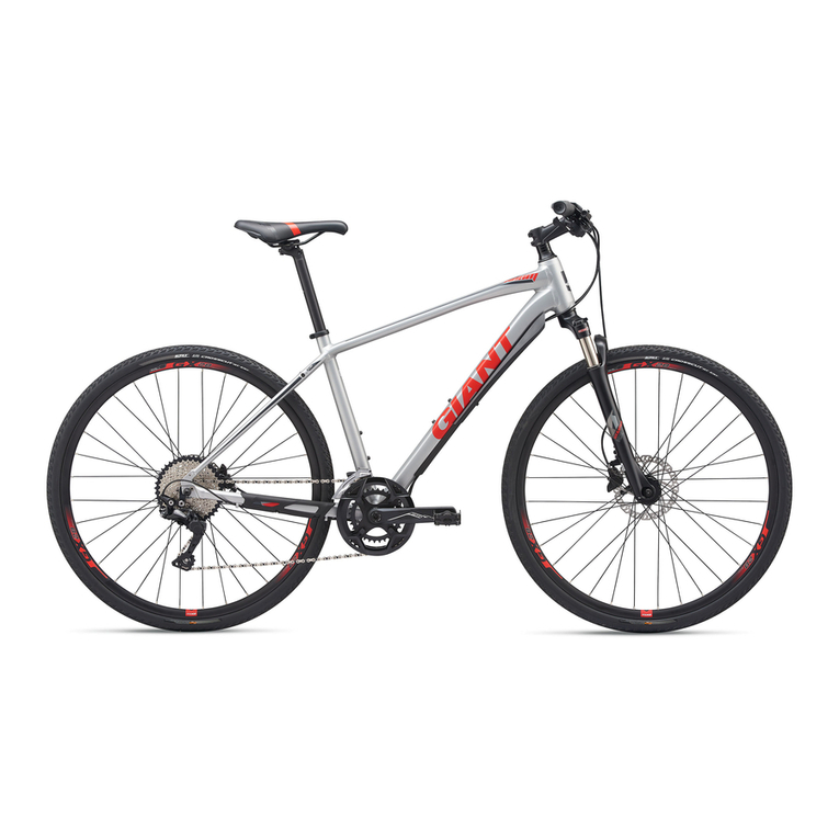Giant ROAM 1 datasheet