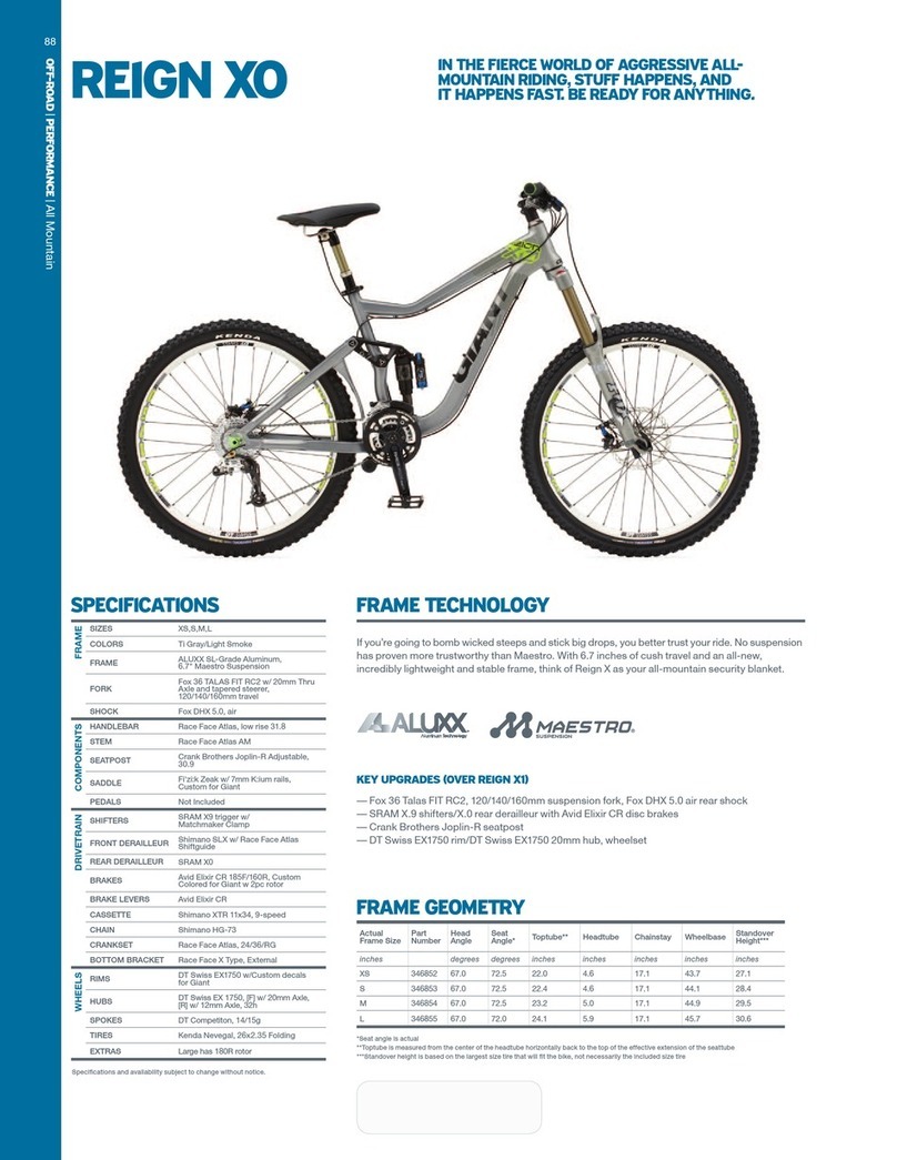 Giant REIGN X0 datasheet