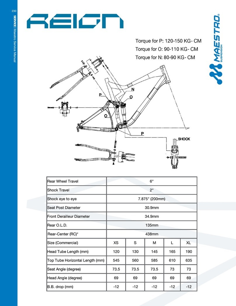 Giant REIGN User manual