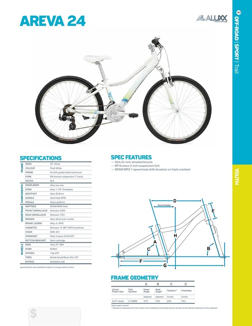 Giant AREVA 24 - DATASHEET 2 User manual