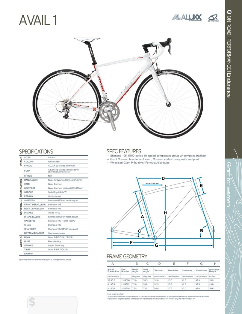 Giant AVAIL 1 - DATASHEET 2 datasheet