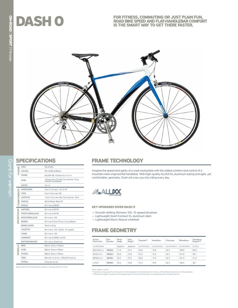 Giant DASH 0 datasheet