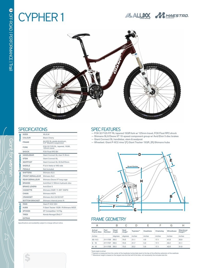 Giant CYPHER 1 - DATASHEET 2 User manual