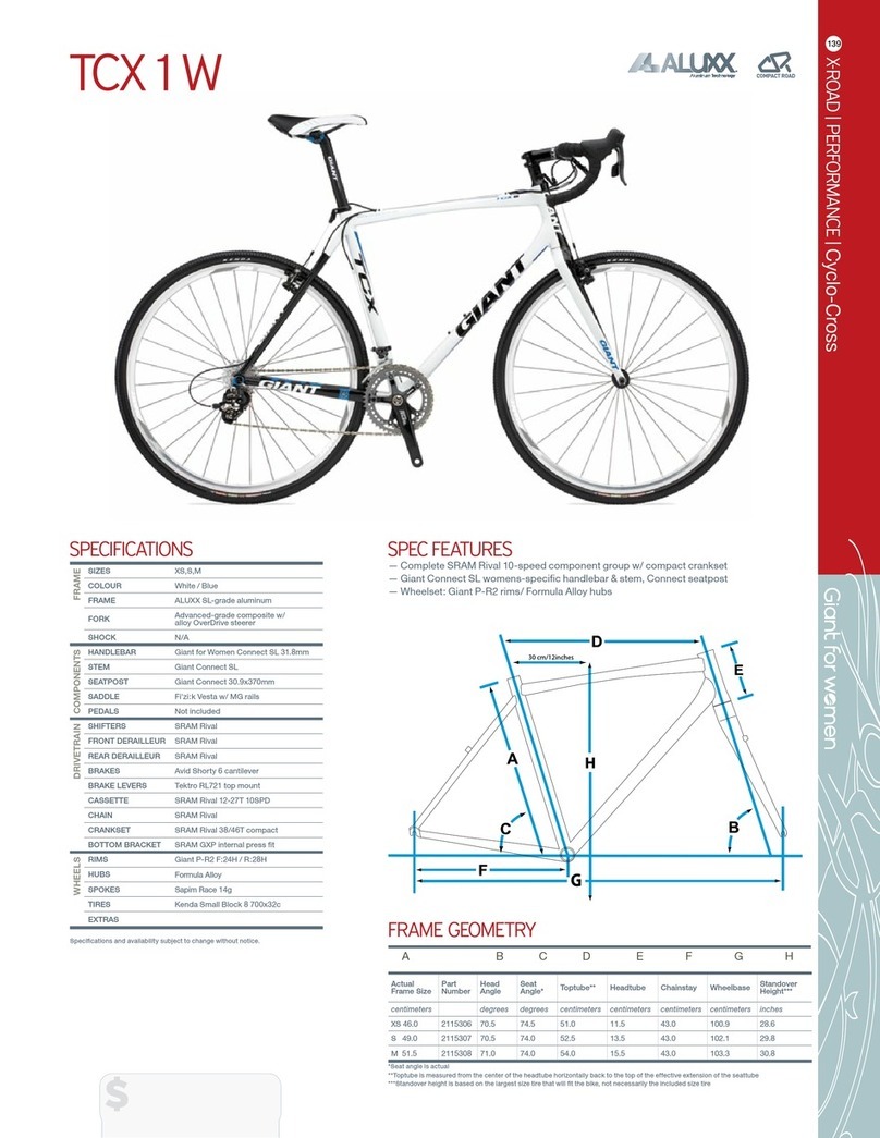 Giant TCX 1 W datasheet