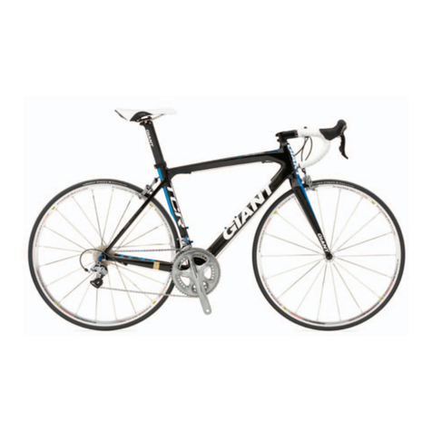 Giant TCR ADVANCED 1 W datasheet