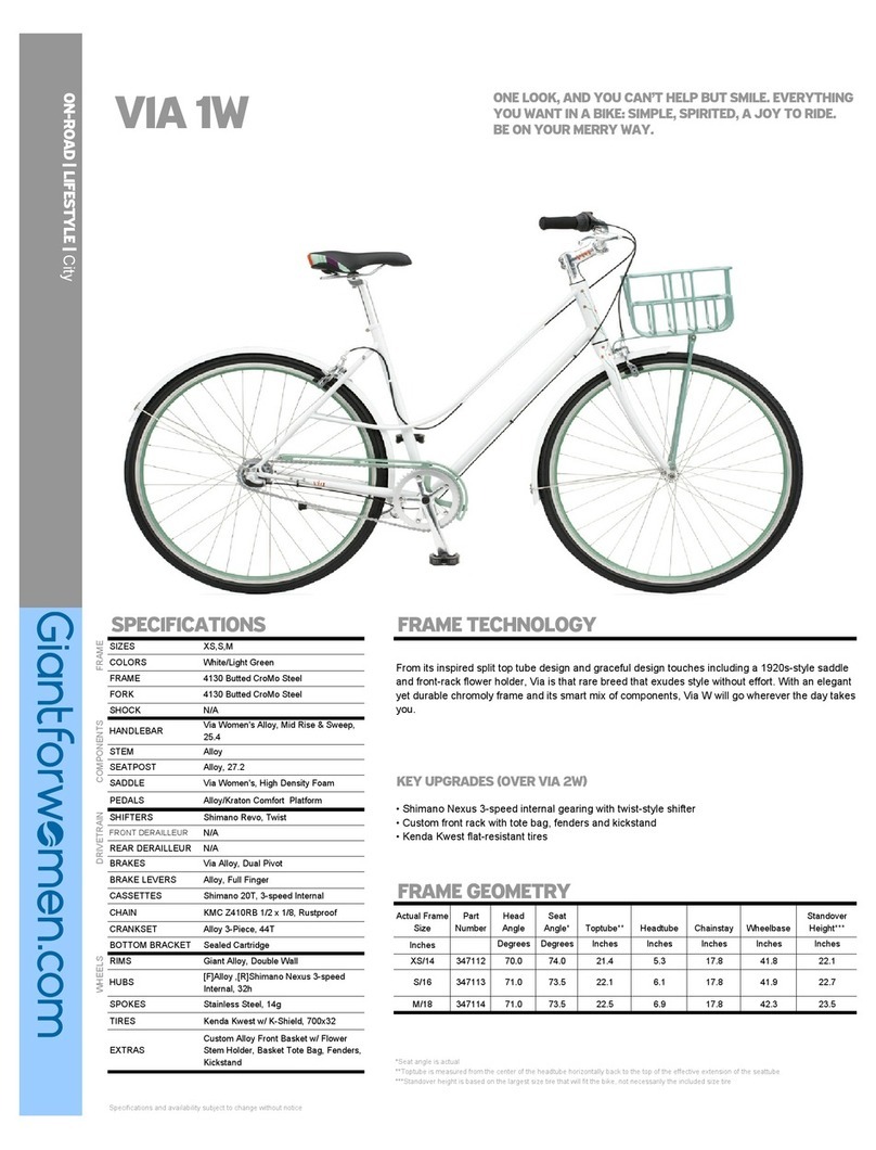 Giant VIA 1W User manual