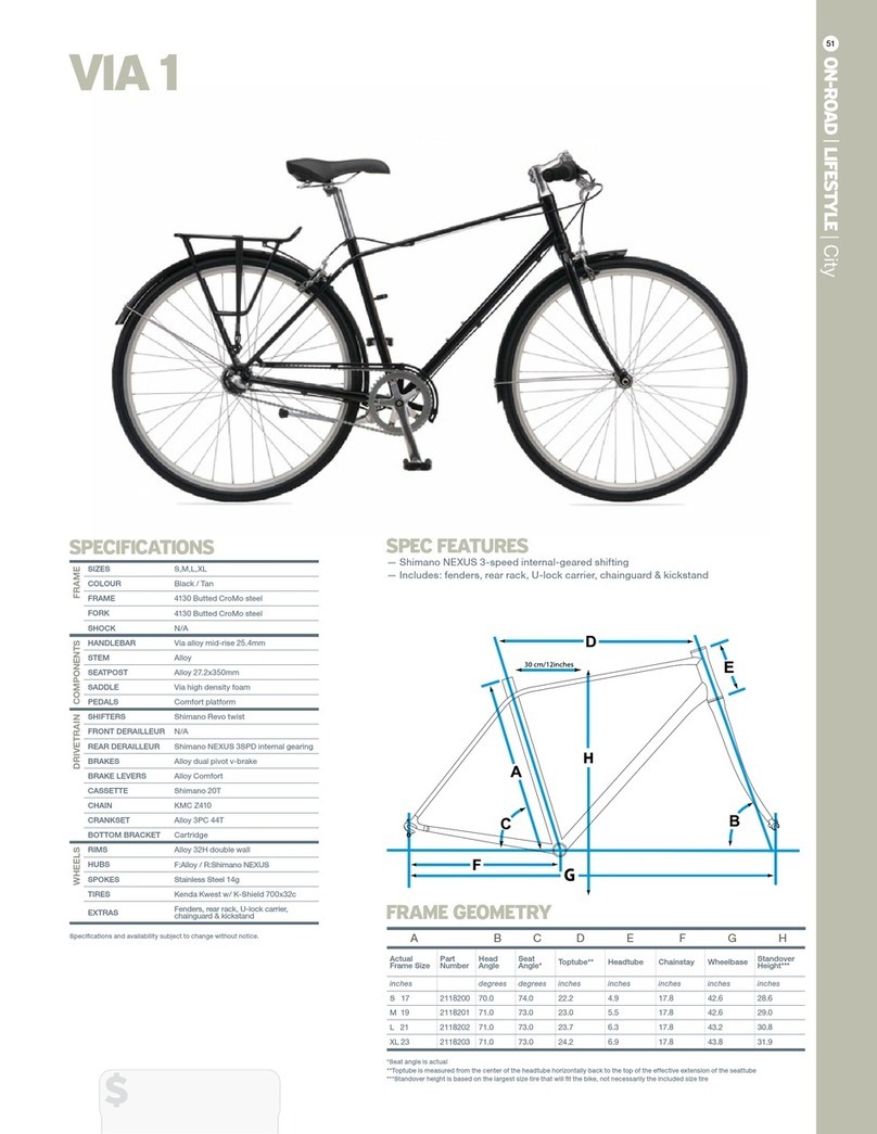 Giant VIA 1 - DATASHEET 2 User manual