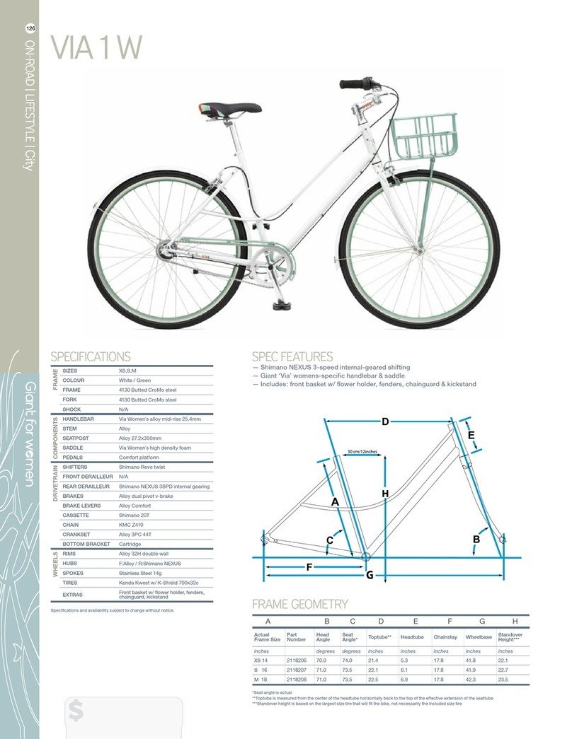 Giant VIA 1 W datasheet