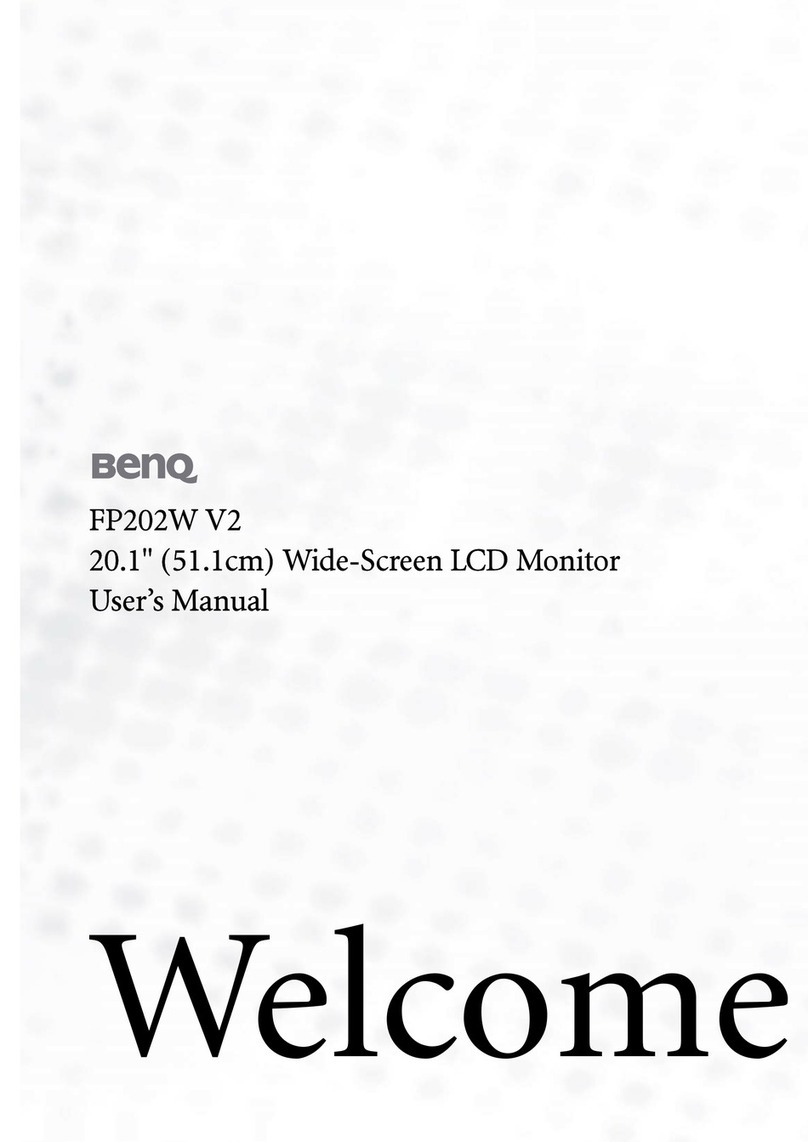 BenQ FP202W V2 user manual