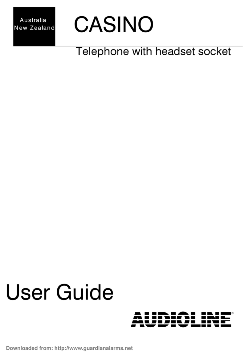 AUDIOLINE CASINO manual